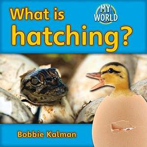 What Is Hatching? de Bobbie Kalman