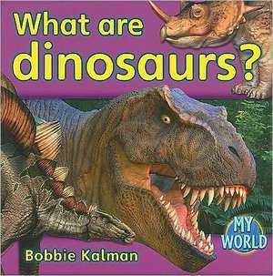 What Are Dinosaurs? de Bobbie Kalman