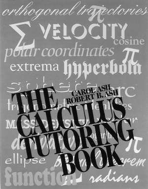 Calculus Tutoring Book de Ash
