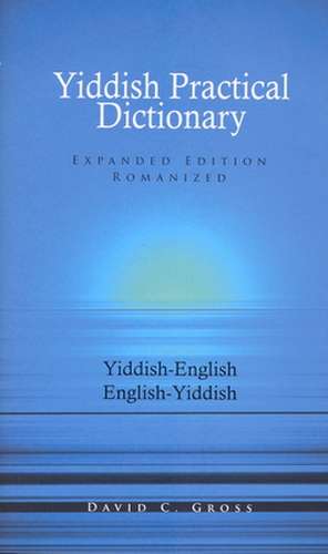 Yiddish-English / English-Yiddish Practical Dictionary: Romanized de David C Gross