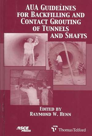 AUA Guidelines for Backfilling and Contact Grouting of Tunnels and Shafts de Raymond W. Henn