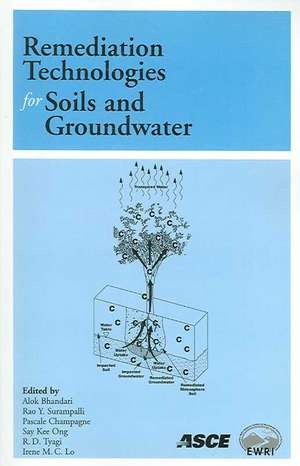 Remediation Technologies for Soils and Groundwater