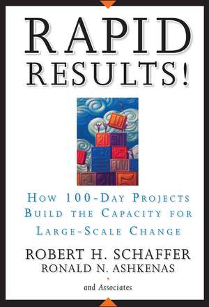 Rapid Results! – How 100–Day Projects Build the Capacity for Large–Scale Change de RH Schaffer