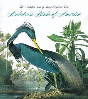 Audubon's Birds Of America: The National Audubon Society Baby Elephant Folio de Roger Tory Peterson