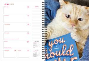 Cats & Books 12-Month 2025 Planner Calendar de Rizzoli Universe