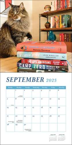 Cats & Books 2025 Wall Calendar de Rizzoli Universe