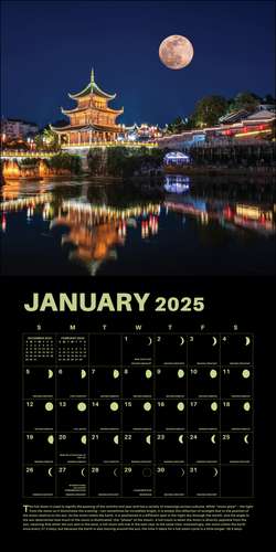 Lunar 2025 Wall Calendar de Rizzoli Universe