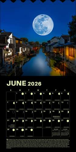 Lunar 2026 Wall Calendar de Rizzoli Universe