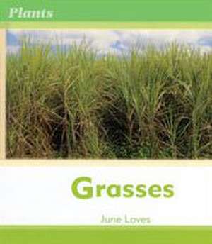 Grasses (Plants) de June Loves