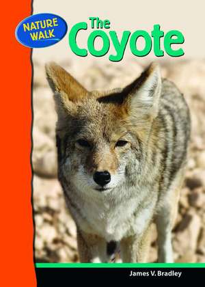 The Coyote de James V. Bradley