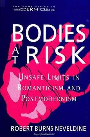 Bodies at Risk: Unsafe Limits in Romanticism and Postmodernism de Robert Burns Neveldine