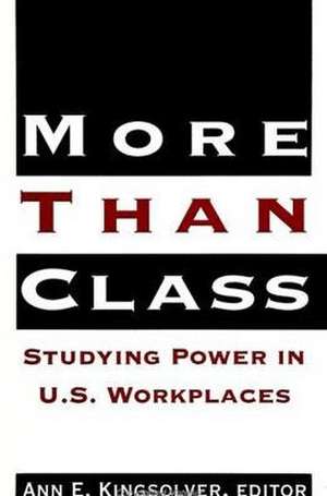 More Than Class: Studying Power in U.S. Workplaces de Ann E. Kingsolver