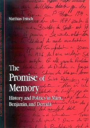 The Promise of Memory de Matthias Fritsch