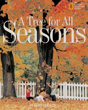 Tree for All Seasons de Robin Bernard