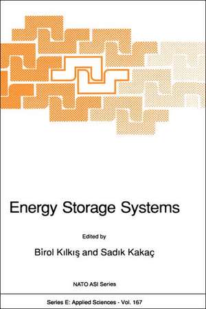 Energy Storage Systems de Birol Kilkis