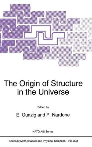 The Origin of Structure in the Universe de E. Gunzig