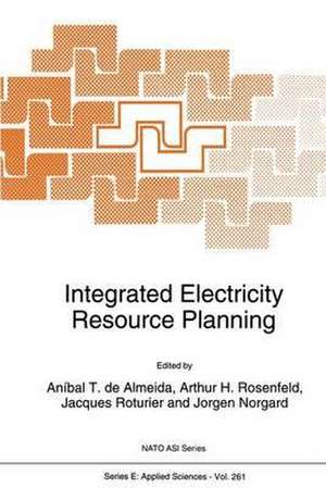 Integrated Electricity Resource Planning de Almeida Anibal T de