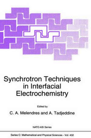 Synchrotron Techniques in Interfacial Electrochemistry de C. a. Melendres