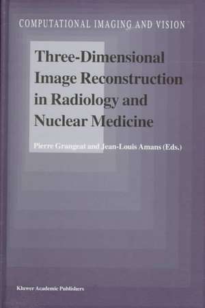 Three-Dimensional Image Reconstruction in Radiology and Nuclear Medicine de Pierre Grangeat