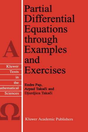 Partial Differential Equations through Examples and Exercises de E. Pap