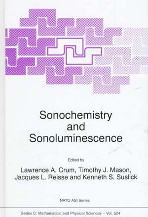 Sonochemistry and Sonoluminescence de L.A. Crum