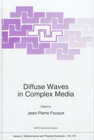 Diffuse Waves in Complex Media de Jean-Pierre Fouque