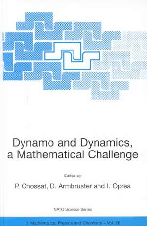 Dynamo and Dynamics, a Mathematical Challenge de Pascal Chossat