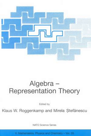 Algebra - Representation Theory de Klaus W. Roggenkamp