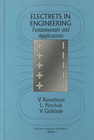 Electrets In Engineering: Fundamentals and Applications de Vladimir N. Kestelman