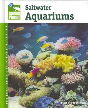 Setup and Care of Saltwater Aquariums de David E. Boruchowitz