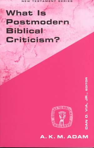 What Is Postmodern Biblical Criticism?: An Introduction to It's Traditions and Tasks de A. K. M. Adam