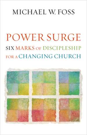 Power Surge de Michael W. Foss