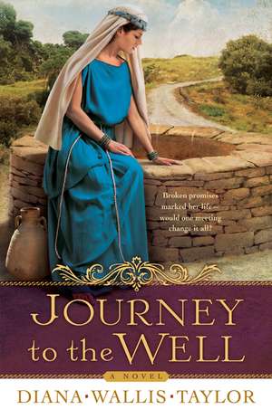 Journey to the Well – A Novel de Diana Wallis Taylor