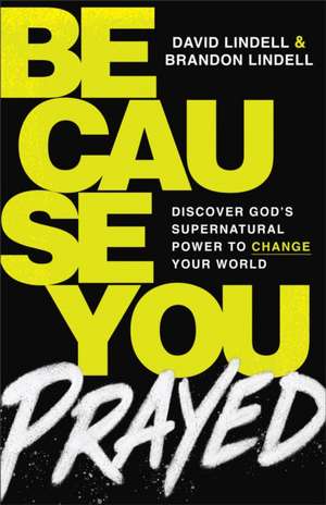 Because You Prayed de David Lindell