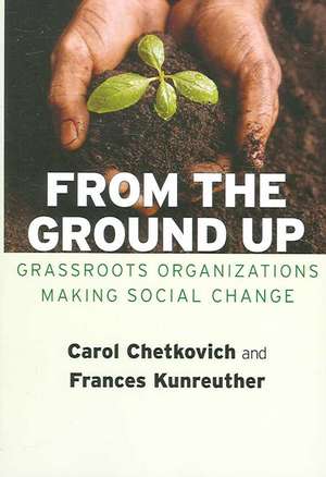 From the Ground Up – Grassroots Organizations Making Social Change de Carol A. Chetkovich