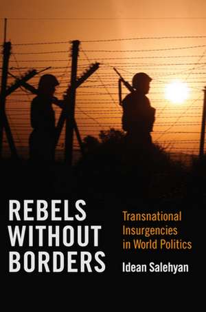 Rebels without Borders – Transnational Insurgencies in World Politics de Idean Salehyan