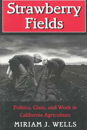 Strawberry Fields – Politics, Class, and Work in California Agriculture de Miriam J. Wells