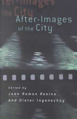 After–Images of the City de Joan Ramon Resina