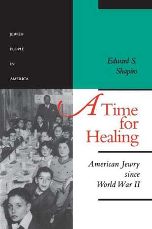 A Time for Healing V 5 de Shapiro