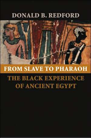 From Slave to Pharaoh – The Black Experience of Ancient Egypt de Donald B Redford