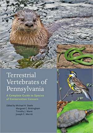 Terrestrial Vertebrates of Pennsylvania – A Complete Guide to Species of Conservation Concern de Michael A Steele