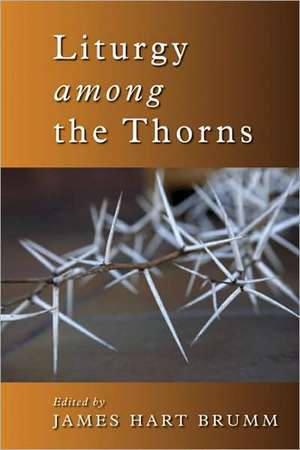 Liturgy Among the Thorns: Essays on Worship in the Reformed Church in America de James Hart Brumm