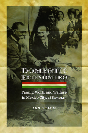 Domestic Economies: Family, Work, and Welfare in Mexico City, 1884-1943 de Ann S. Blum