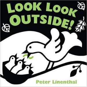 Look Look Outside! de Peter Linenthal