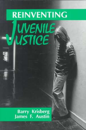 Reinventing Juvenile Justice de Barry A. Krisberg