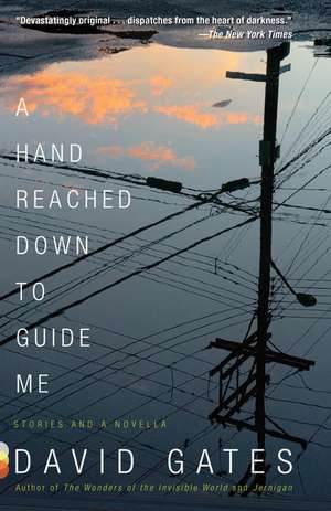 A Hand Reached Down to Guide Me: Stories and a Novella de David Gates