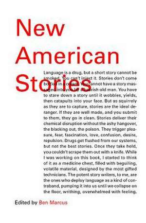 New American Stories de Ben Marcus