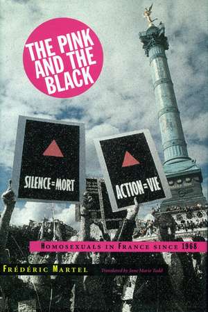 The Pink and the Black: Homosexuals in France Since 1968 de Frédéric Martel