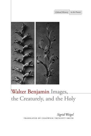 Walter Benjamin: Images, the Creaturely, and the Holy de Sigrid Weigel