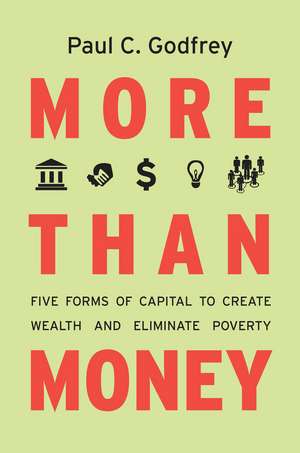 More than Money: Five Forms of Capital to Create Wealth and Eliminate Poverty de Paul Godfrey